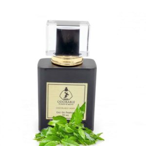בושם יוניסקס אודורבל פרפיום אודורבל מאן אדפ 50מ"ל Odorable Perfumes Odorable Man edp 50ml